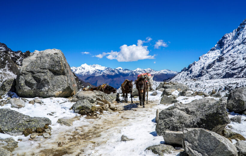Trek Salkantay – 4 Días y 3 Noches